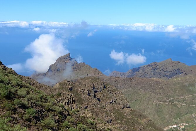 Masca from above - Teide glimpses and plant moments: what you might spot on the way