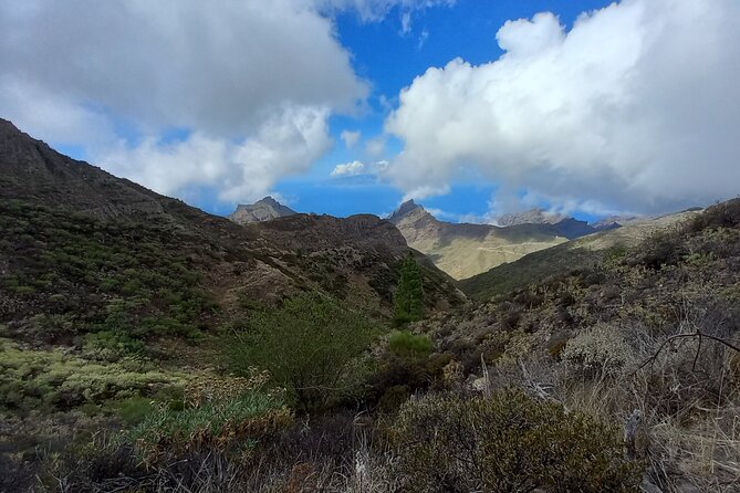Masca from above - The hike route: pine forest, rain forest pockets, then Masca Gorge from above