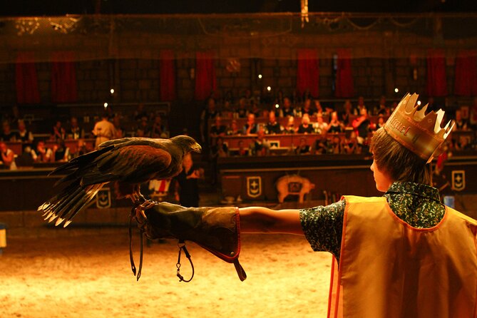 Medieval San Miguel castle with dinner-Show in South Tenerife - Who This Is Best For (and Who Might Skip It)