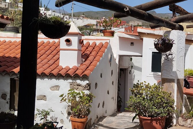 Mojo Cooking Class in an Ancient Canarian Village - What You’re Really Buying in Chirche (Not Just a Cooking Show)
