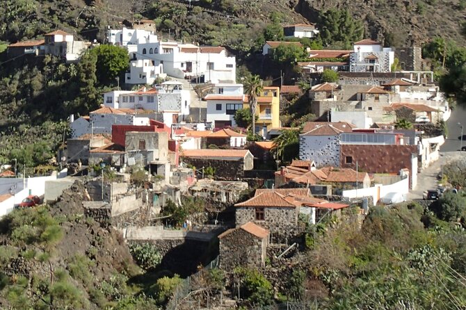 Mojo Cooking Class in an Ancient Canarian Village - The Cooking Part: What Mojo Teaches You (Sauce Skills Included)