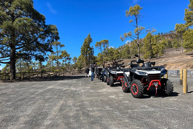 Monster Quad Teide Tour - Inside the Park: What the Guided Stop Really Gives You
