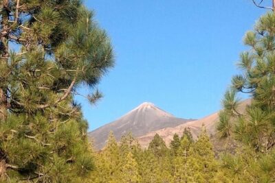 Monster Quad Teide Tour - Choosing Your Time Slot: Morning Sandwich, Afternoon BBQ, or Sunset Tour
