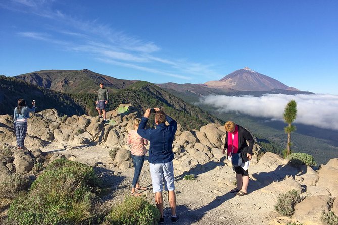 Mount Teide and Tenerife North with Food & Wine Tasting Private Tour - Teide National Park time: what you’ll see and how to prepare