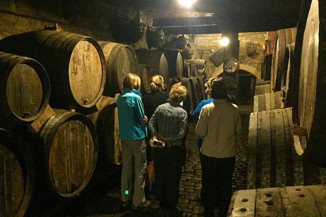 Mount Teide and Tenerife North with Food & Wine Tasting Private Tour - Bodegas Monje: vineyard, winery tour, and the terrace lunch