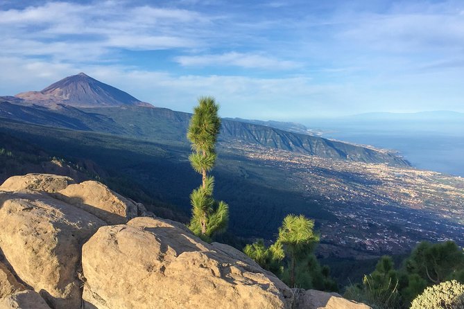 Mount Teide and Tenerife North with Food & Wine Tasting Private Tour - The human factor: why the guide changes the whole day