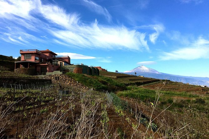 Mount Teide and Tenerife North with Food & Wine Tasting Private Tour - Logistics that matter on a one-day tour