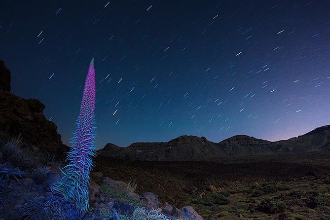 Mount Teide Night Tour: Stargazing, Dinner and Hotel Pick up - Communication and language: English is offered, but check how it lands