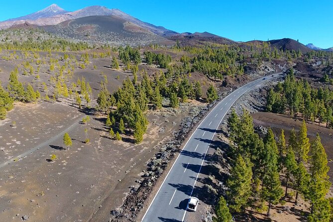 Mount Teide Quad Day Trip in Tenerife National Park - Guides who mix safety, smiles, and real Teide facts