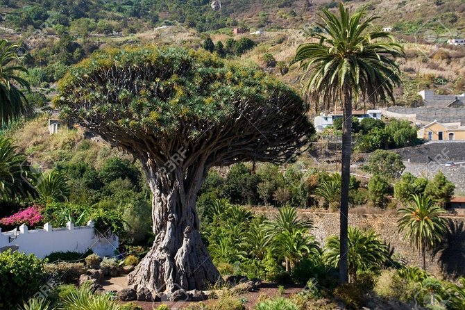 Mt. Teide and Masca Valley Tour in Tenerife - Garachico and El Caletón: Lava-Carved Town Energy