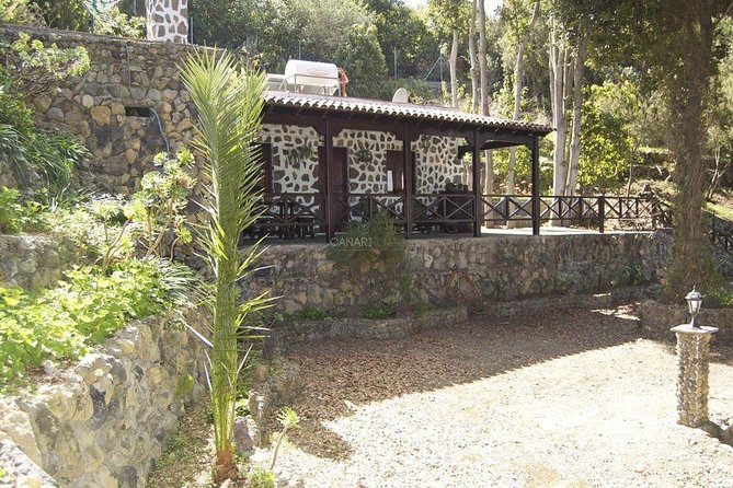 Mt. Teide and Masca Valley Tour in Tenerife - Food, Toilets, and Comfort: The Stuff That Makes or Breaks the Day