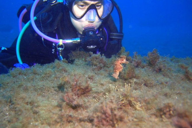 PADI Open Water Diver Course (OWD) - 2.5 days - Underwater skills: what to expect when nerves show up