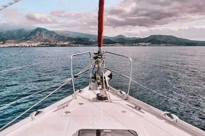 Premium All Inclusive Whale & Dolphin Watching Experience - Price and Value: Is $21 Enough for an All-Inclusive Whale Trip?