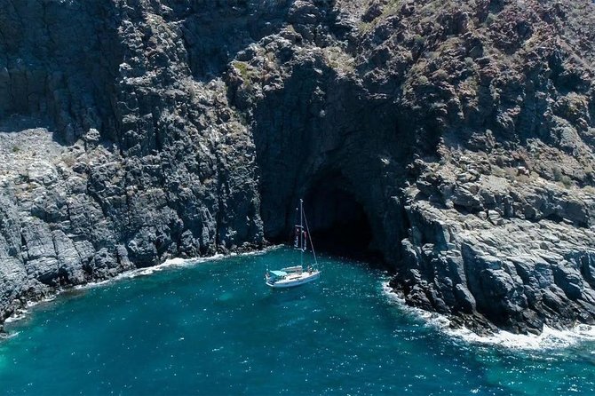 Premium All Inclusive Whale & Dolphin Watching Experience - Who This Tour Fits Best (And Who Should Rethink It)