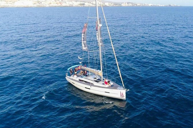 Premium All Inclusive Whale & Dolphin Watching Experience - Luxury Perks at Sea: Drinks, Snacks, and How They Change Your Trip
