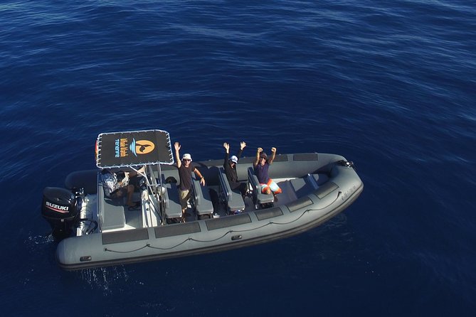 Private 2 hour Whale Watching Tour - Key things you will notice right away