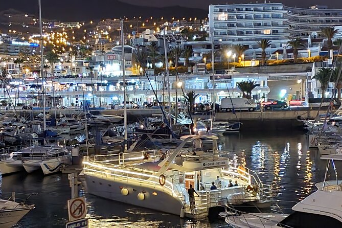 Private Catamaran Charter with Transfer, Buffet and Snorkeling - Transfers, Group Size, and Why Price Can Make Sense