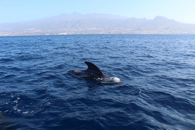 Private Charter in Tenerife south max 7 people - The captains and the value of real attention