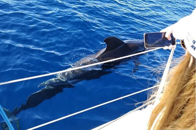 Private Charter in Tenerife south max 7 people - Snorkeling gear included: choose your level of effort