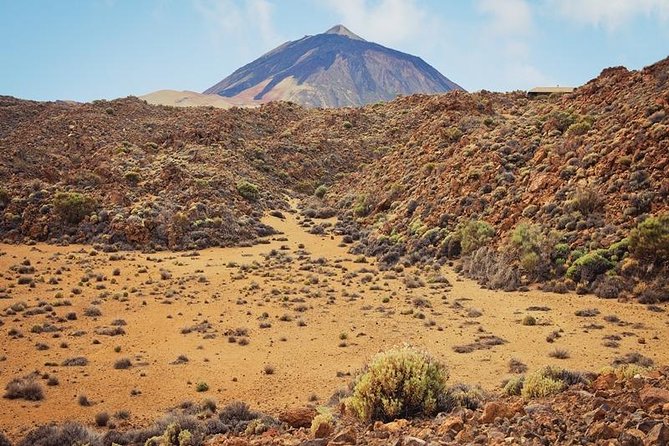 Private Excursions For Cruise Ship Passengers - From Santa Cruz toward the Teide route: first views, then the forest-to-volcano feel