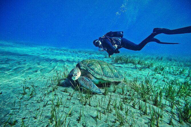 Private Scuba Diving in Tenerife – Certified Instructor & Photos - Key things to know before you book