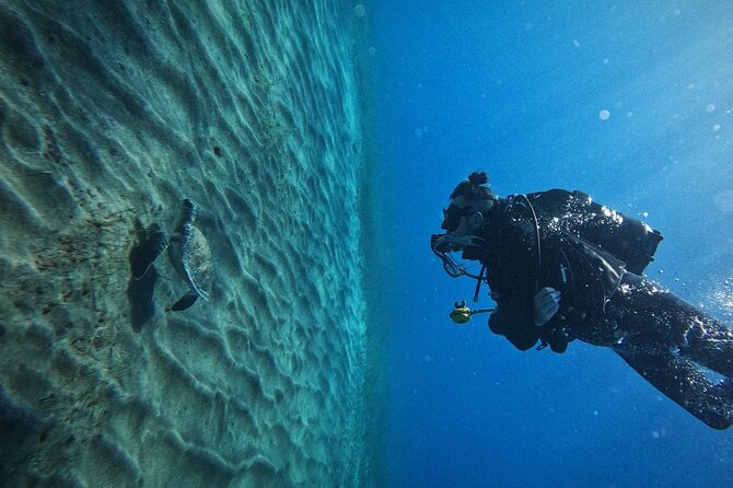 Private Scuba Diving in Tenerife – Certified Instructor & Photos - Los Cristianos: why this underwater spot works for first-timers