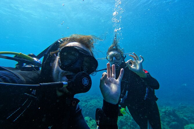 Private Scuba Diving in Tenerife – Certified Instructor & Photos - Who this private underwater scuba session suits best