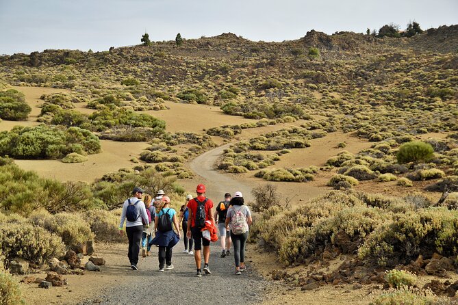 PRIVATE TOUR Teide National Park: Hiking and Stargazing - Teide National Park hike: intermediate effort with sunset and moon views