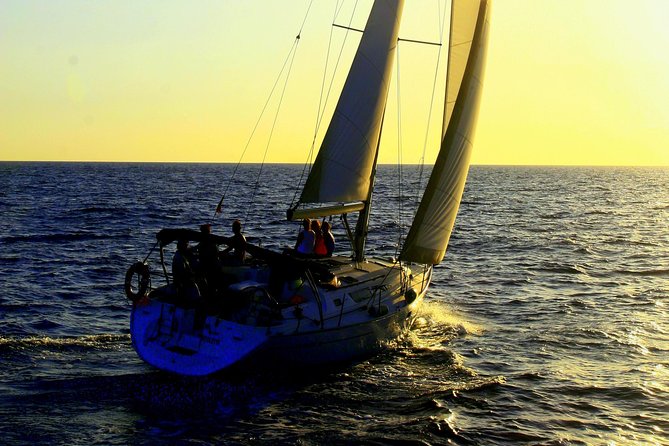 Private Yacht Excursion from Puerto Colon 3 hours - What You Might See: Turtles, Dolphins, Pilot Whales, and the Surprise Things