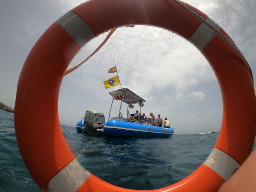 Puerto Colon: Dolphin and Whale Watching Speedboat Tour - Key things that make this tour worth your time
