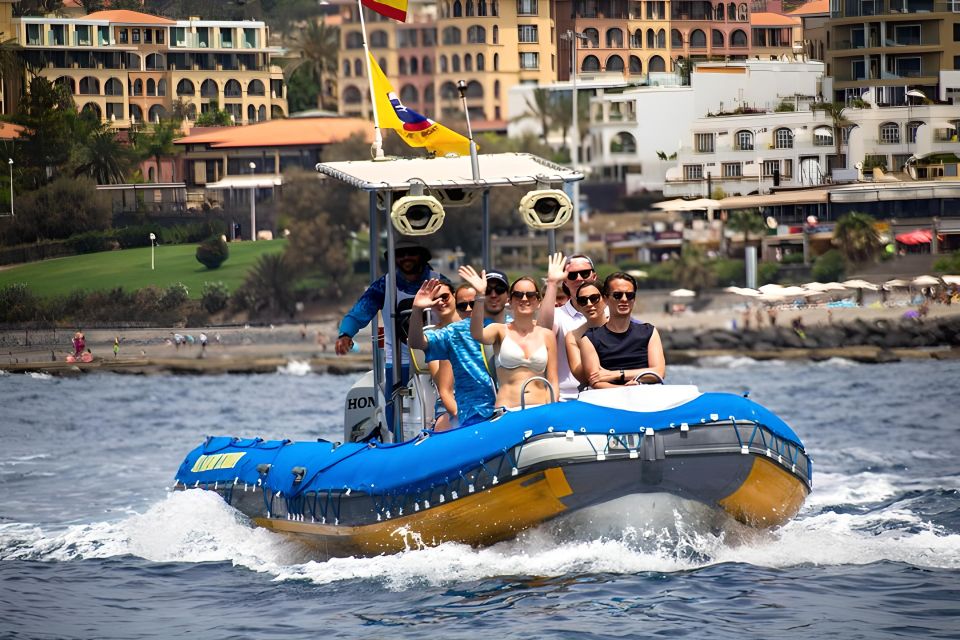 Puerto Colon: Dolphin and Whale Watching Speedboat Tour - Puerto Colón Speedboat: what the ride feels like