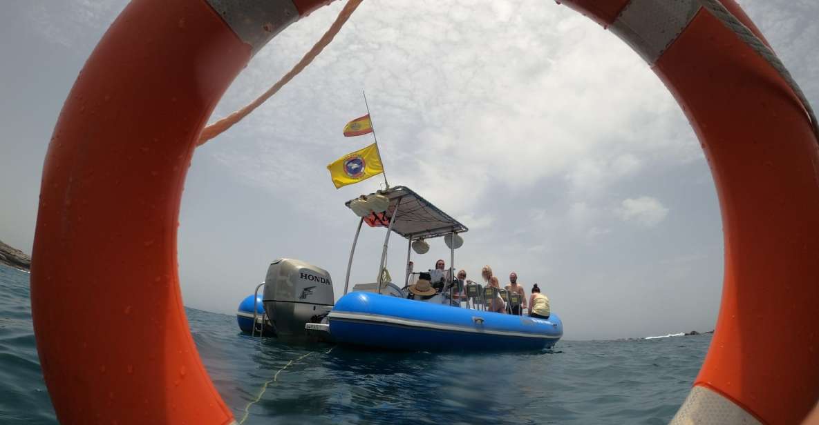 Puerto Colon: Dolphin and Whale Watching Speedboat Tour - The swim and snorkeling stop: Palm-Mar or La Caleta