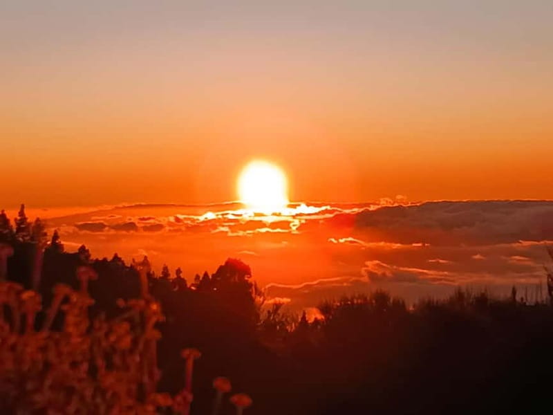 Puerto Cruz: VIP Teide Sunset & Stars, Guachiche Lunch+Cava - Who should book this VIP Teide sunset and stars tour