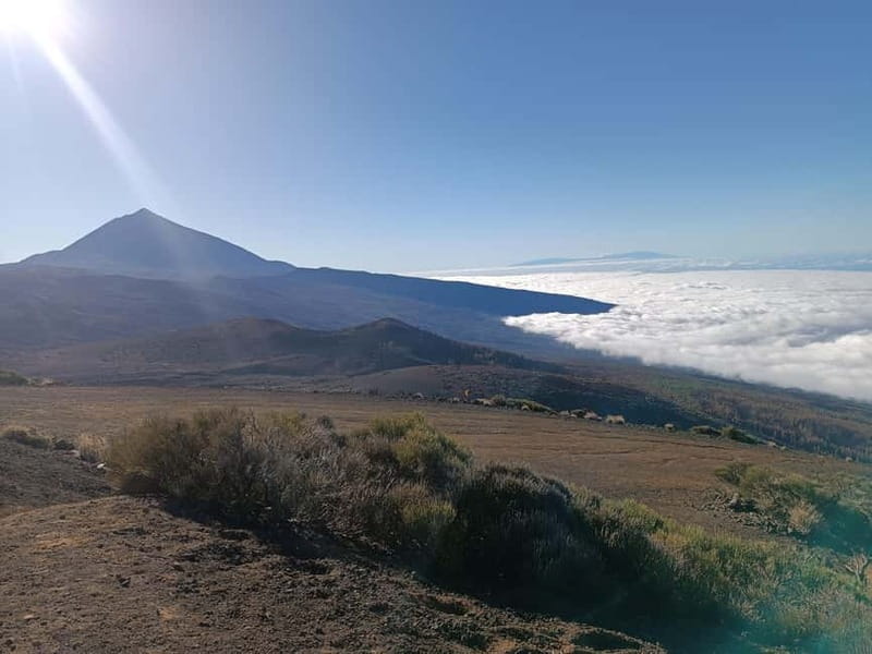 Puerto Cruz: VIP Teide Sunset & Stars, Guachiche Lunch+Cava - El Portillo Visitor Center coffee break: warm up before the sky show