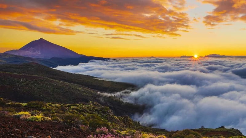 Puerto Cruz: VIP Teide Sunset & Stars, Guachiche Lunch+Cava - Price and value: what you get for about $108