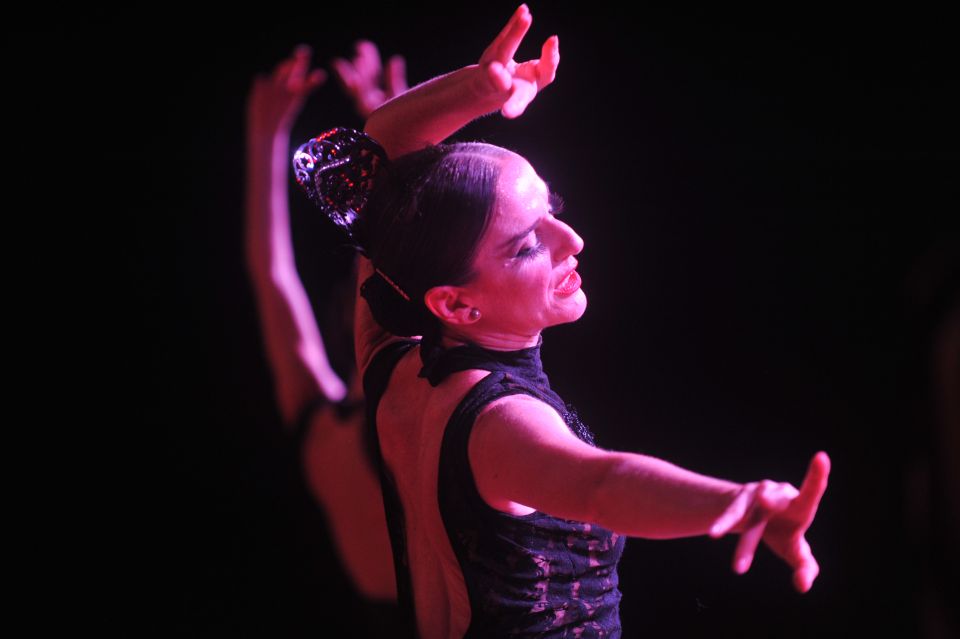 Puerto de la Cruz: Flamenco Show at Casa Ábaco with a Drink - The 18th-century mansion vibe: why the room matters