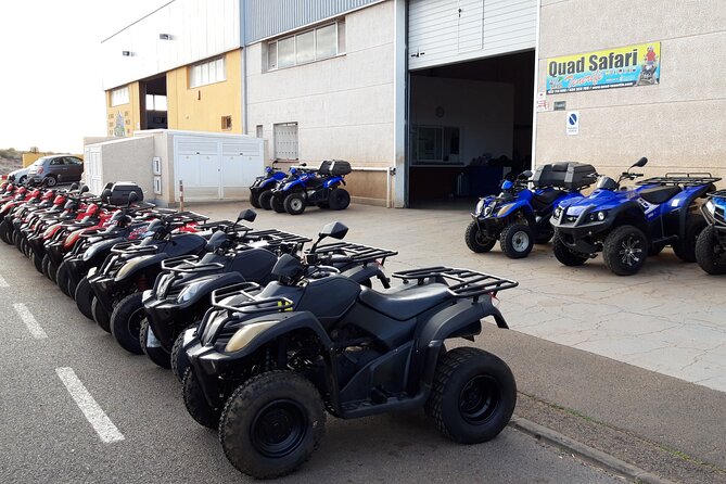 Quad Bike Safari - Price and Value: Is $259 a Good Deal?