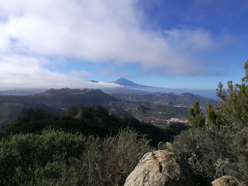 Santa Cruz de Tenerife: 2-Hour Hiking Tour in Anaga Forest - Meet your guide and hear Tenerife through Ángel’s stories