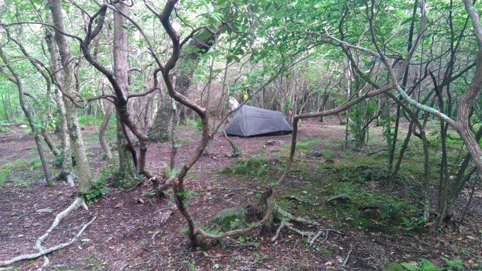 Santa Cruz de Tenerife: 2-Hour Hiking Tour in Anaga Forest - Price and value for a guided nature hike around $50