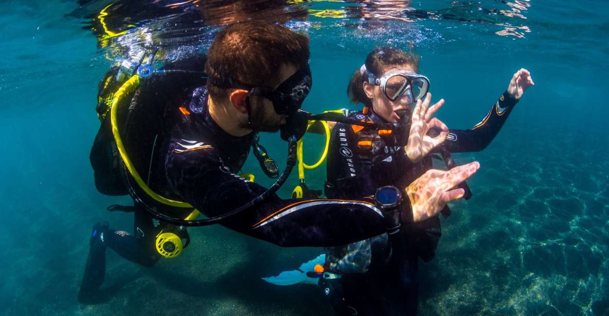 Santa Cruz de Tenerife: Beginner's Diving & Introduction - Key things I’d pin to the top