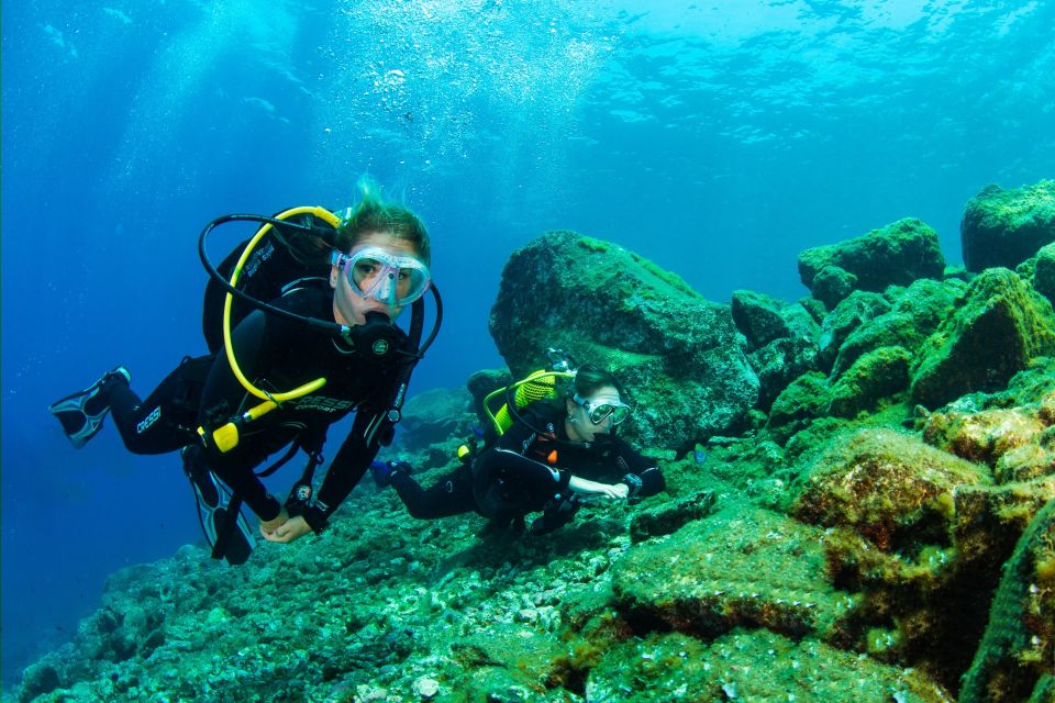 Santa Cruz de Tenerife: Beginner's Diving & Introduction - A 3-hour try-scuba plan that actually teaches you