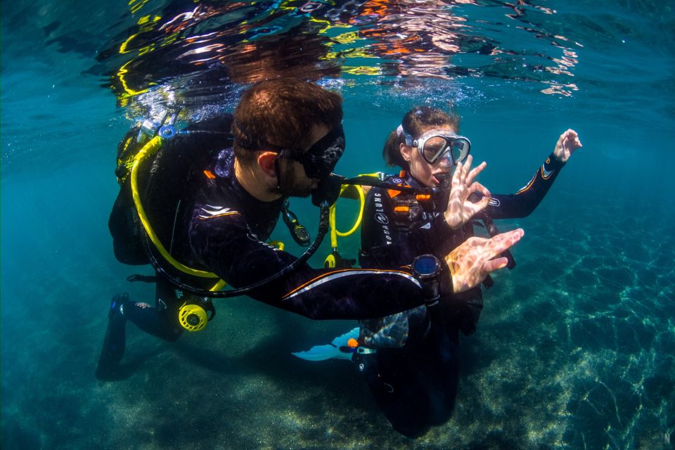 Santa Cruz de Tenerife: Beginner's Diving & Introduction - The equipment lesson: what you learn before you go underwater