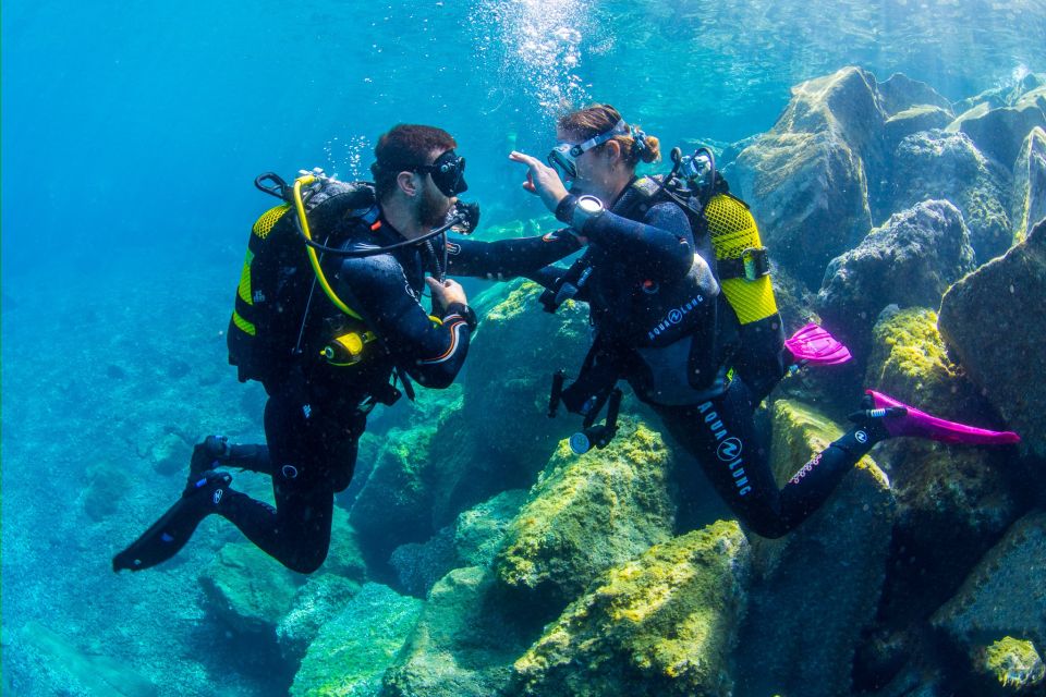Santa Cruz de Tenerife: Beginner's Diving & Introduction - The 30–45 minute swim to 6 meters (and what you’ll likely see)