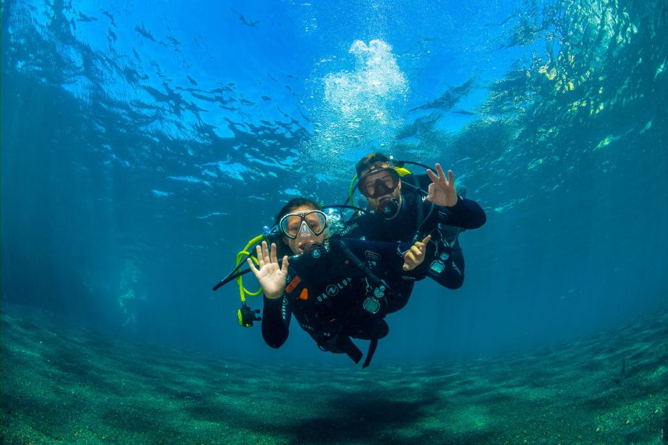 Santa Cruz de Tenerife: Beginner's Diving & Introduction - Price and value: is $89 a fair deal for first-time scuba?
