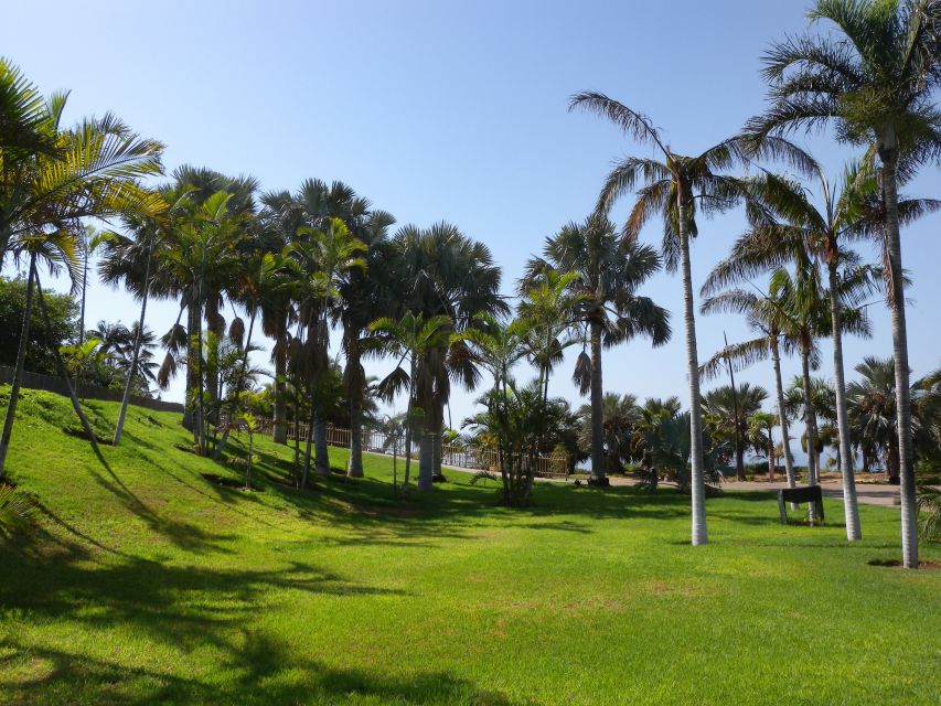 Santa Cruz de Tenerife Palmetum Entry Ticket - Key things to know before you go
