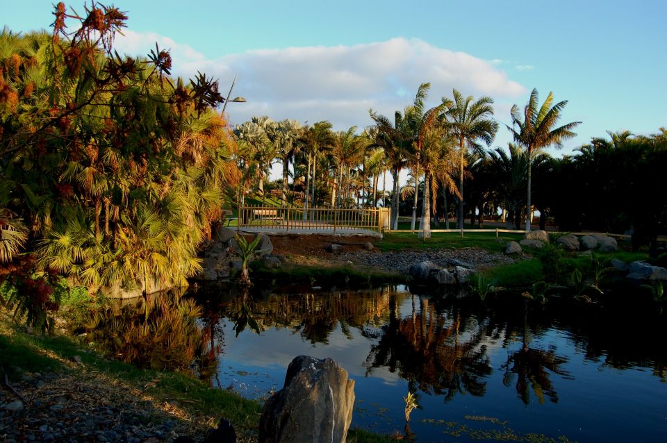 Santa Cruz de Tenerife Palmetum Entry Ticket - Why a former landfill became Tenerife’s palm park