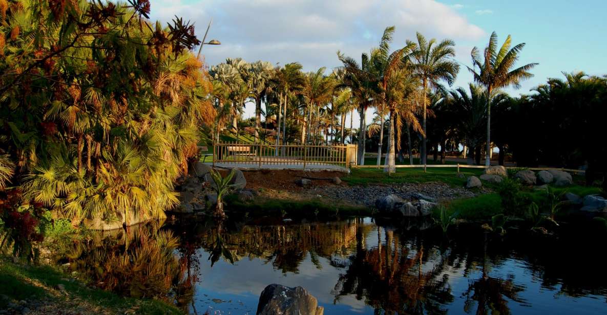 Santa Cruz de Tenerife Palmetum Entry Ticket - Arriving at the entrance and getting oriented