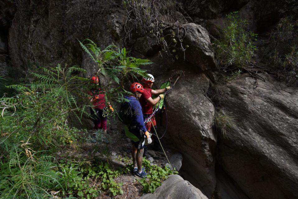Santa Cruz de Tenerife: Vilaflor Canyoning Tour - Who should go (and who should skip) this Vilaflor canyon