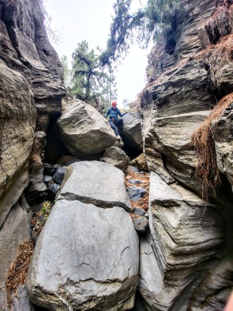 Santa Cruz de Tenerife: Vilaflor Canyoning Tour - Climbing out: the hill hike among Canary pine trees