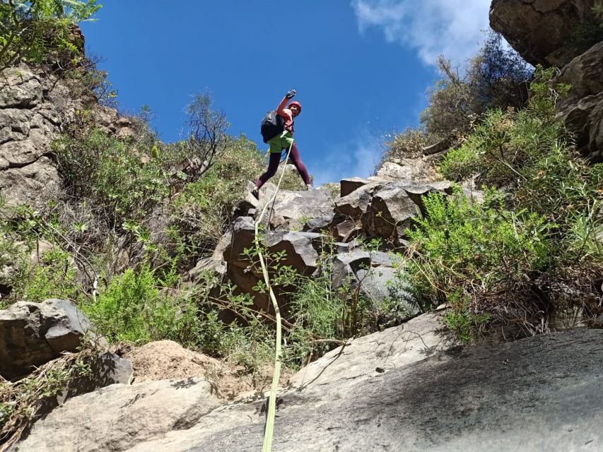 Santa Cruz de Tenerife: Vilaflor Canyoning Tour - Price and value: what $77 covers (and what it doesn’t)